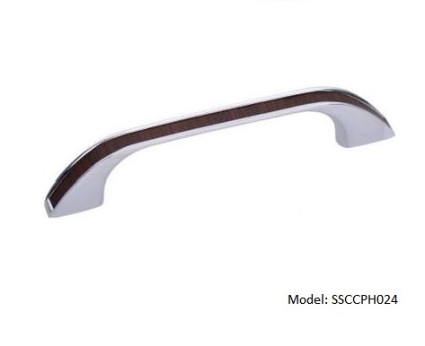 SSCCPH024