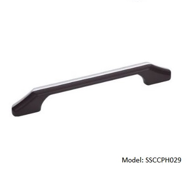 SSCCPH029